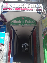 Hotel Niladri Palace